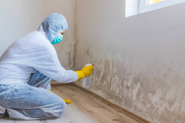 Mold inspector in Portage performing thermal imaging